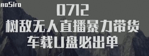 树敌&amp;#8238;习研&amp;#8236;社抖音无人曲播暴力带货车载U盘必出单，单号单日产出300杂利润4584,