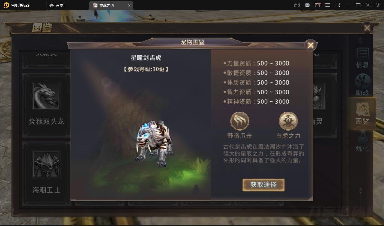 魔幻脚游【龙魂之剑】2022收拾整顿Linux脚工效劳端 充值背景【站少亲测】4064,魔幻,脚游,龙魂,之剑,2022