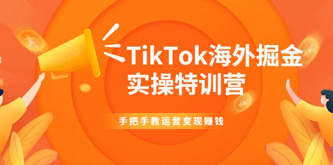 TikTok外洋挖金真操特训营：脚把脚教运营变现赢利439,