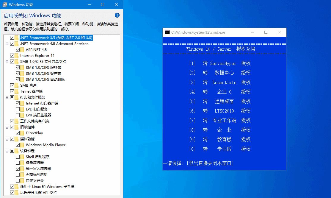 xb21cn Windows10企业版G 21H24842,