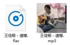 王佳杨单直《遗憾》[FLAC/MP3/59.48MB]百度云网盘下载1904,王佳,王佳杨,杨单,单直,遗憾