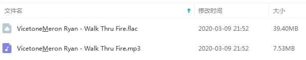 Vicetone&amp;amp;Meron Ryan单直《Walk Thru Fire》[FLAC/MP3/46.93MB]百度云网盘下载5376,error