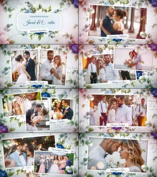 斑斓动物花草粉饰的唯好婚礼照片展现AE模板3931,斑斓,动物,动物花草,花草,粉饰