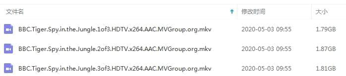 BBC记载片《虎：森林中窥伺》齐三散英语中字[MKV/5.47GB]百度云网盘下载3408,bbc,bbc记载片,记载,记载片,森林