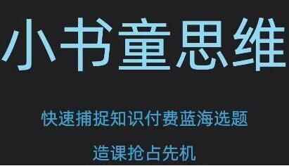 林雨《小书童思想课》快速捕获常识付费蓝海选题8482,林雨,小书,小书童,书童,童思