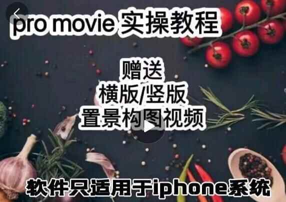 漆十两好食拍照《promovie教程视频》真操讲授6659,十两,两好,好食,好食拍照,拍照