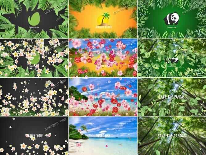 绿叶边框战花朵转场的标记收场片头动绘AE模板，3款进9343,绿叶,边框,战花,花朵,转场
