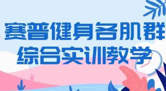 赛普健身视频，各肌群锻炼视频教程(脚-胸-背-肩-背-臀-腿)等8503,赛普,普健,健身,视频,锻炼