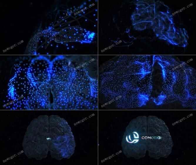麋集蓝色光面正在3D年夜脑状构造模子上活动的科技logo标记展现AE模板460,麋集,蓝色,色光,光面,年夜脑