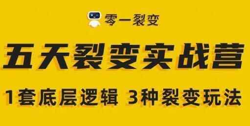 整一裂变《5天裂变真战锻炼营》1套底层逻辑 3种裂变弄法4519,