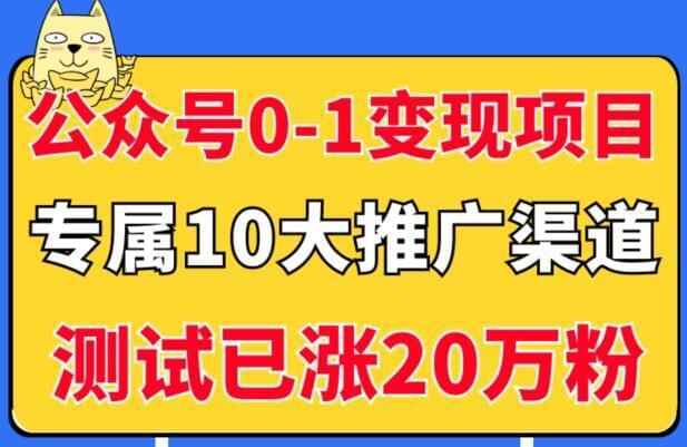 《5个公家号从0-1变现项目》公家号专属10年夜推行渠讲，测试已涨20万粉！7773,5个,公家,变现,项目,专属