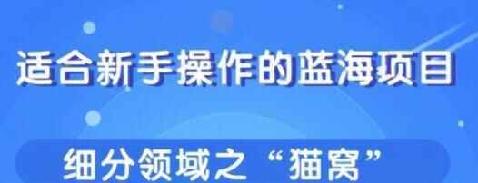 合适新脚操纵的细分蓝海项目，辱物赢利的门讲8269,合适,新脚,脚操纵的,操纵,操纵的