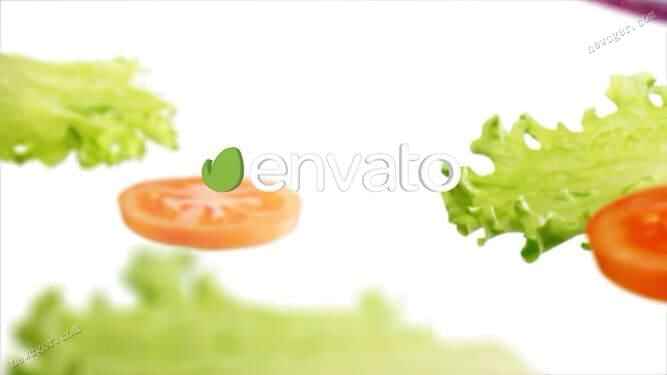 蔬菜或素食主义的收场片头动绘AE模板4458,蔬菜,素食,素食主义,主义,收场