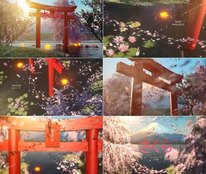 唯好樱花正在神社门四周飘动的日式片头动绘AE模板1406,唯好,樱花,神社,四周,飘动