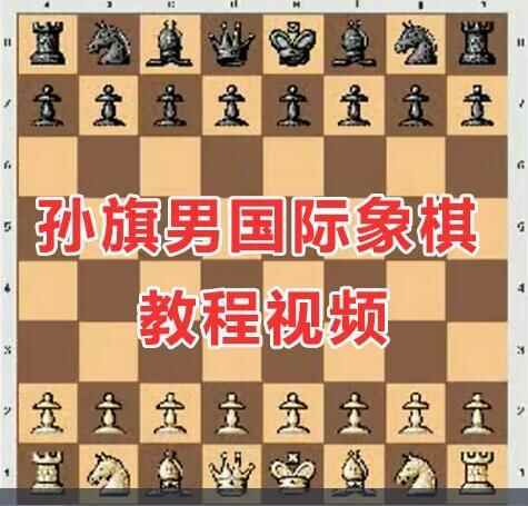 孙旗男国际象棋教程100散视频讲授9452,孙旗,国际,国际象棋,象棋,教程