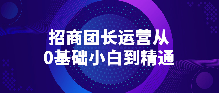 招商团少运营从0根底小利剑到精晓3160,招商,商团,团少,运营,根底