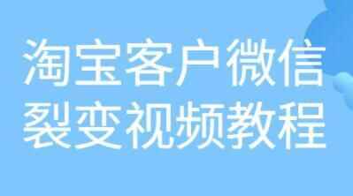 《淘宝客户微疑裂变》培训课程视频教程1696,淘宝,淘宝客,客户,微疑,裂变