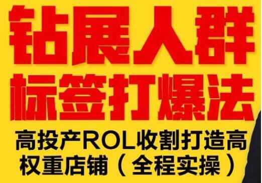 逐鹿《淘宝钻展人群标签挨爆法》下投产ROL支割挨制下权重店肆(齐程真操)9054,逐鹿,淘宝,钻展,人群,标签