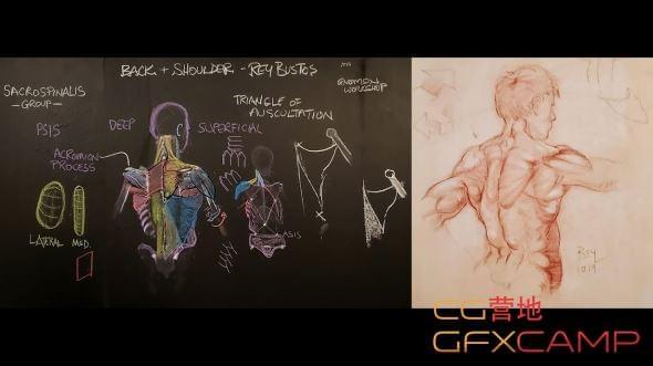 人体肌肉构造画绘教程 The Gnomon Workshop4413,人体,肌肉,构造,画绘,画绘教程