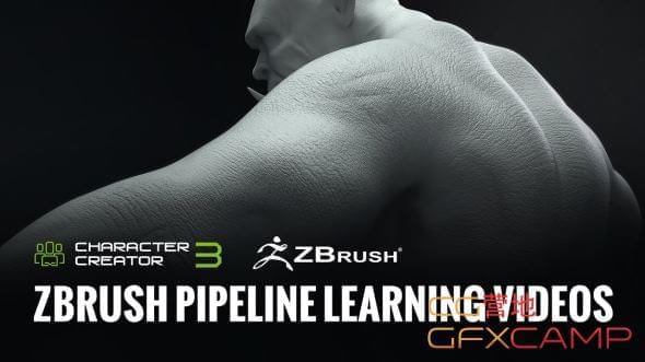 ZBrush人物建模体系流程教程 Reallusion5133,