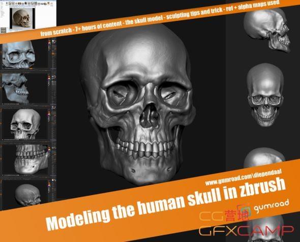 头骨骷髅建模雕琢教程 Gumroad – Modeling The Human Skull In Zbrush9210,头骨,骷髅,建模,雕琢,教程