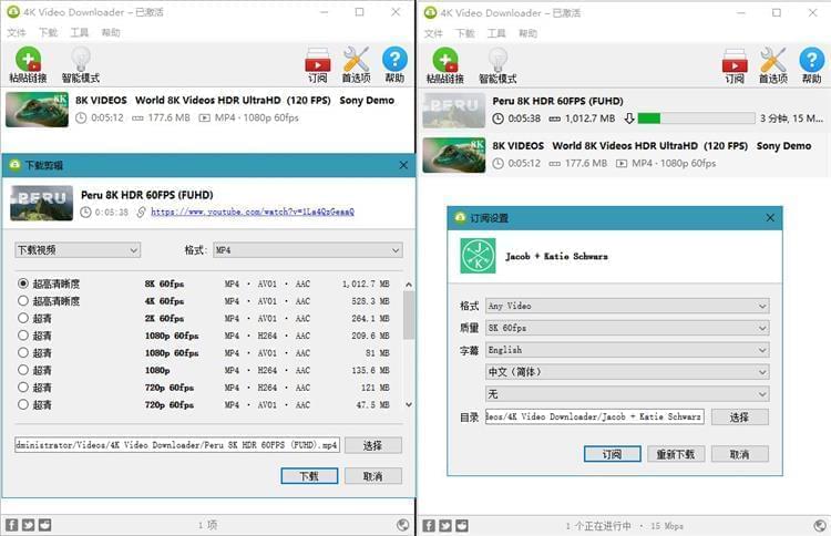 4K视频下载器(4KVideoDownloader)4.17.2汉化版6525,视频,视频下载,下载,下载器,17