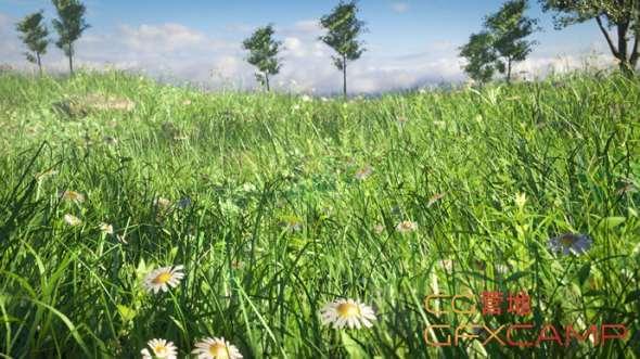 实在草天建造教程 Create Realistic Grass in Blender 2.86258,