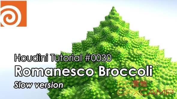 螺旋发展动绘Houdini教程 Creating Romanesco Fractal Broccoli1561,