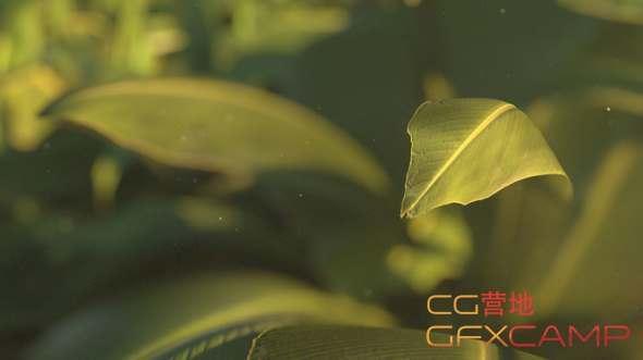 动物树叶C4D Octane衬着分解教程  Cinema 4D and Octane8485,