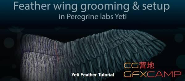 Maya毛收羽毛建造插件Yeti利用教程 Gumroad – Feather wing grooming and setup in Peregrine labs Yeti2205,