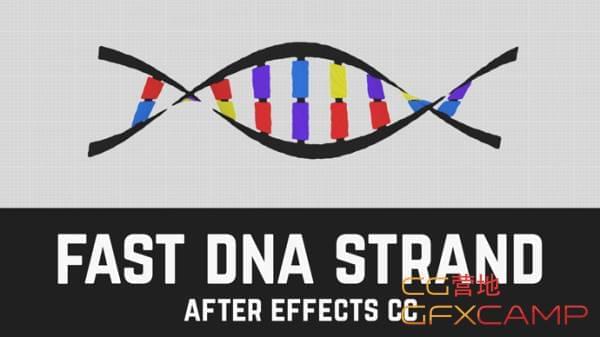 扁仄化DNA扭转MG动绘AE教程 After Effects How to Quickly Create a DNA Strand Tutorial494,