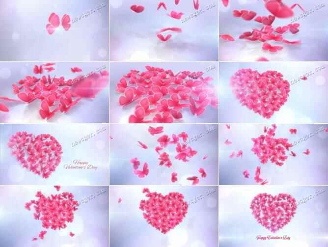 粉色胡蝶飘动蜂拥成一颗爱心AE模板，2版进3524,粉色,胡蝶,胡蝶飞,胡蝶飘动,蝶飞