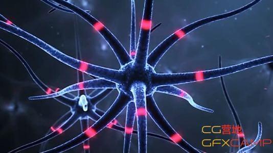 C4D细胞神经传输动绘教程  Brain Cell Animation Tutorial426,c4d,细胞,神经,经传,传输