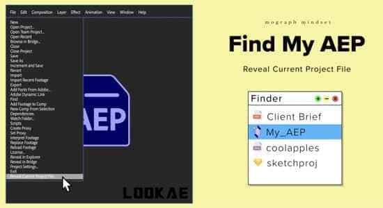 AE插件-快速查找工程寄存地位 Find My AEP V2.01366,插件,快速,速查,查找,找工