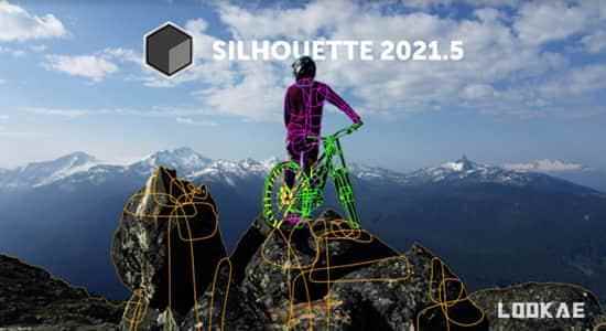 影视前期ROTO跟踪抠像分解硬件 Silhouette 2021.5.0 Win   AE/PR/VEGAS/OFX/达芬偶插件6170,