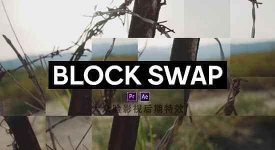 AE/PR插件-随机天生像素块视觉殊效 Block Swap v1.0 Mac4325,