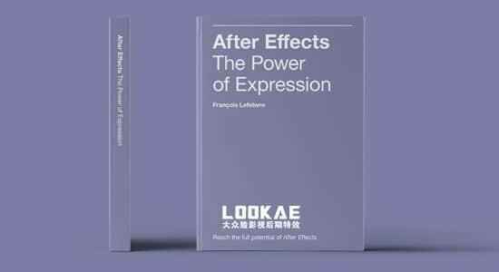 AE表达式真例详解利用脚册PDF英文仿单 After Effects The Power of Expression Book407,