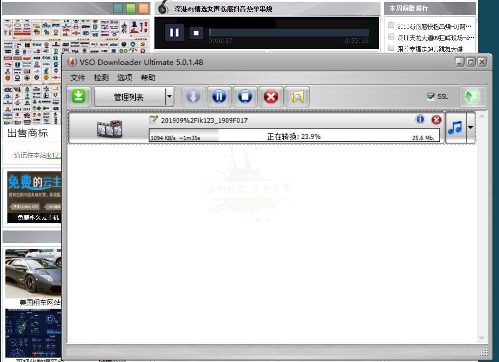 齐网DJ视频下载东西 VSO Downloader9755,