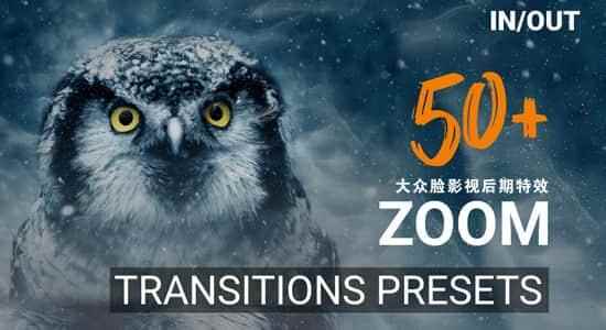 Premiere预设-50种下量量共同打击缩放过渡转场预设 50 Zoom Transition Presets556,