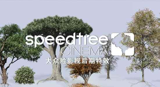 三维植被树木发展建模硬件 SpeedTree Modeler 9.0.0 Cinema/Games Enterprise Win8052,