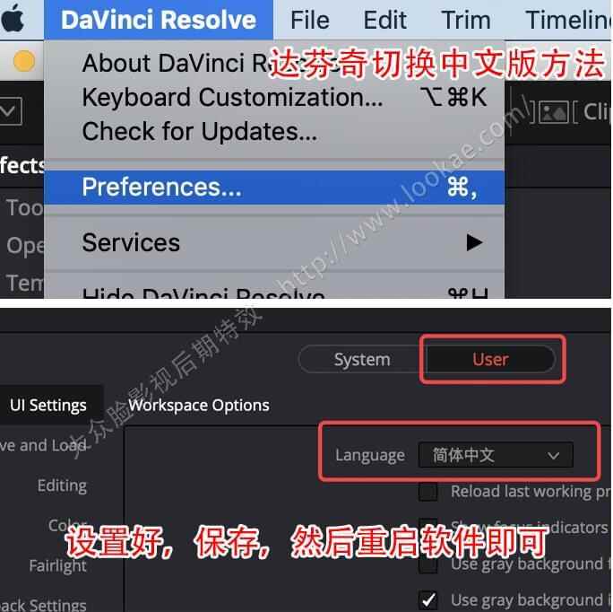 达芬偶调色硬件免费版 DaVinci Resolve 17.2.1   Studio专业正版 Win/Mac/Linux8961,达芬偶,芬偶,调色,硬件,免费