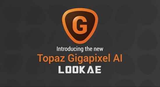 图片无益放年夜硬件 Topaz Gigapixel AI 5.5.1 Win6240,