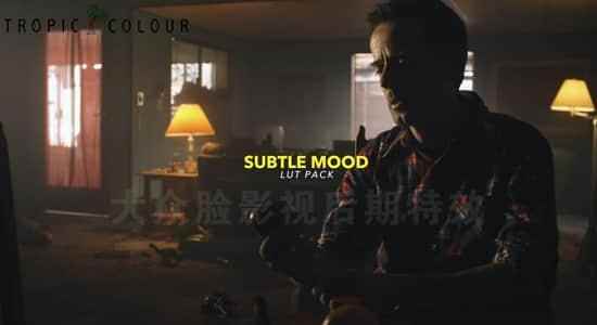 50个漆黑强光夜早情况影戏视频调色LUTs预设Tropic Colour-Subtle Mood LUTs（FCPX/PR/PS/AE/达芬偶）9500,