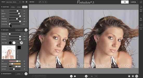 Mac苹果版：Photoshop插件-人像润饰磨皮好颜PS插件 Imagenomic Portraiture 3.5.14091,
