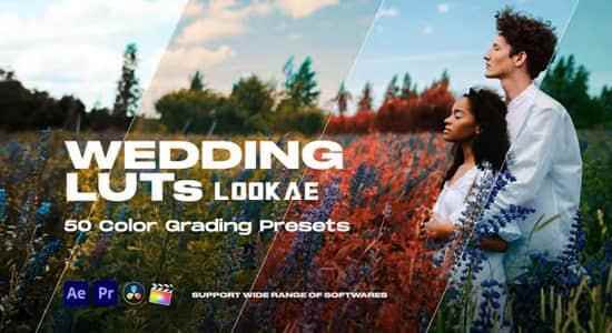 100种西欧婚礼调色LUTs预设 Colorify Wedding LUTs9834,100,西欧,婚礼,婚礼调,调色