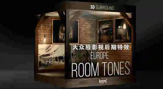 音效-119个大众情况忙碌堆栈室内乱空阔场景反响喧闹无益音效 Room Tones Europe1991,