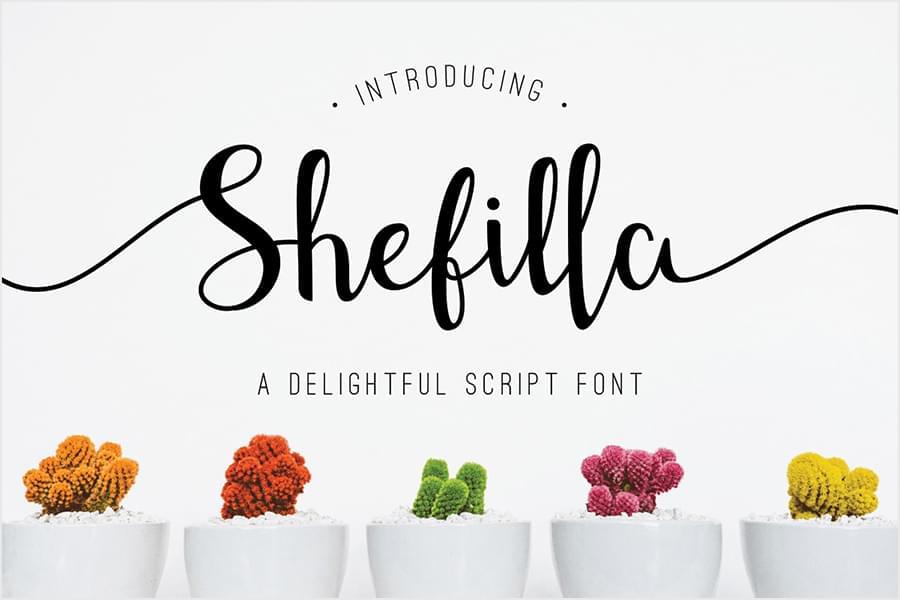 Free Shefilla Script Font Demo 20181625,free,script,font,demo