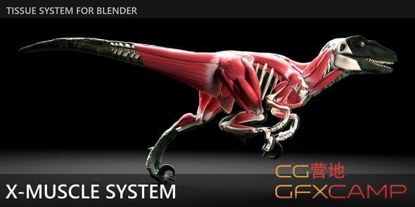 Blender肌肉体系模仿插件 X-Muscle System 2.476068,blender,肌肉,肌肉体系,体系,体系模仿