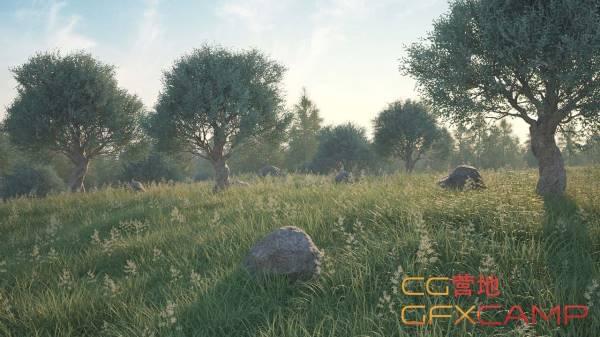 C4D动物树木草天石头天生建造插件 3DQUAKERS – Forester v1.5.2 For Cinema 4D R18-R25 Win破解版 + Expansion Pack v1+V2 预设包5840,