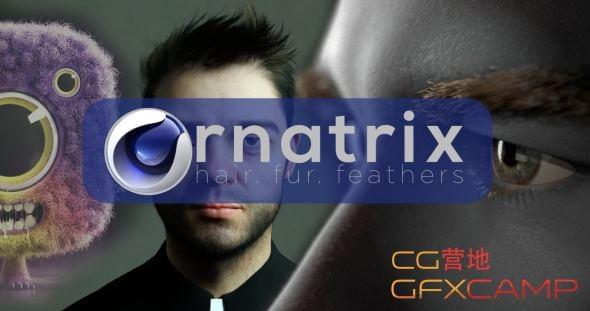 C4D头收毛收羽毛模仿插件 Ephere Ornatrix v2.3.0.29616 for Cinema 4D R19-R25 Win破解版2099,